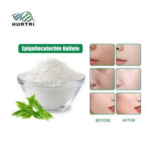Epigallocatechingallat