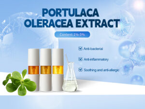 Portulaca oleracea-Extrakt in kosmetischer Qualität