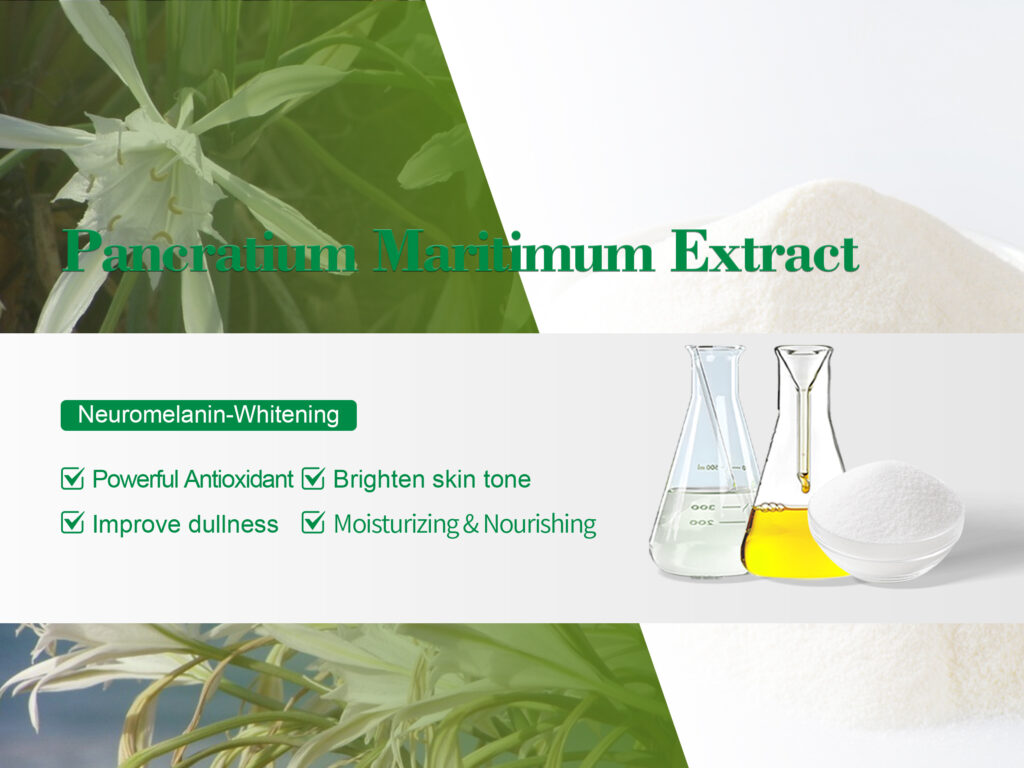 Extracto de Pancratium Maritimum