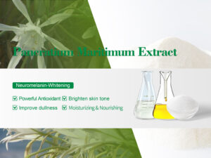 Extrait de Pancratium Maritimum