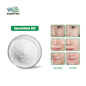 Spermidin HCl