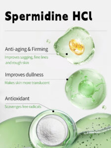 Spermidin HCl