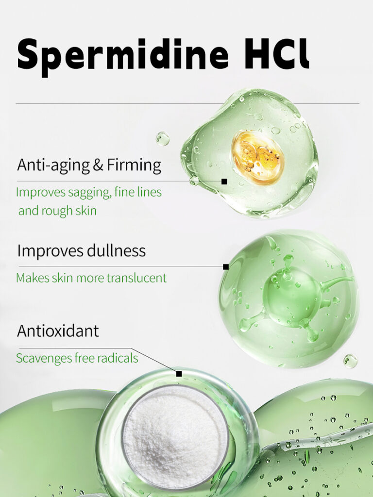 Spermidin HCl