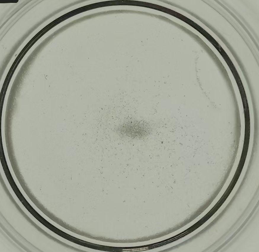 Standard glabridin in camellia oil — visible sediment and precipitation