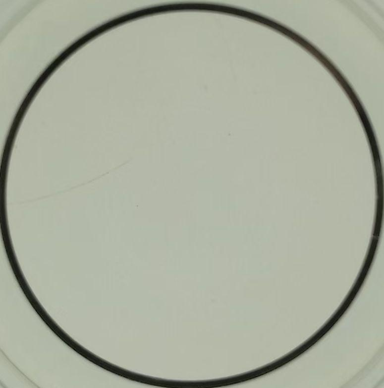 Huatai 90% oil-soluble glabridin in camellia oil — clear, no sediment