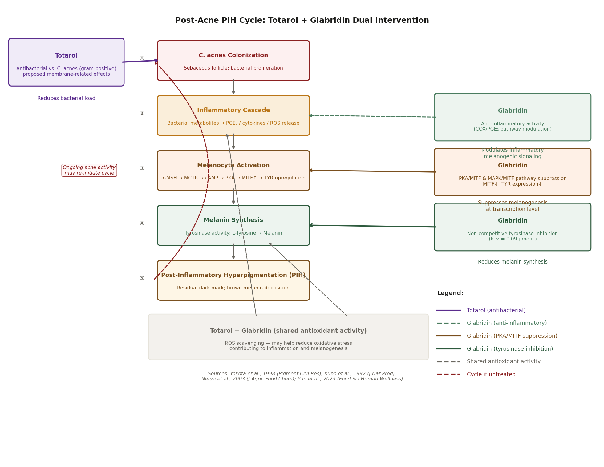 Diagram showing the post-acne PIH cycle from C. acnes colonization through inflammatory cascade, melanocyte activation (MITF), melanin synthesis to PIH, with Totarol intervening at the bacterial stage and Glabridin intervening at inflammatory, PKA/MITF, and tyrosinase stages