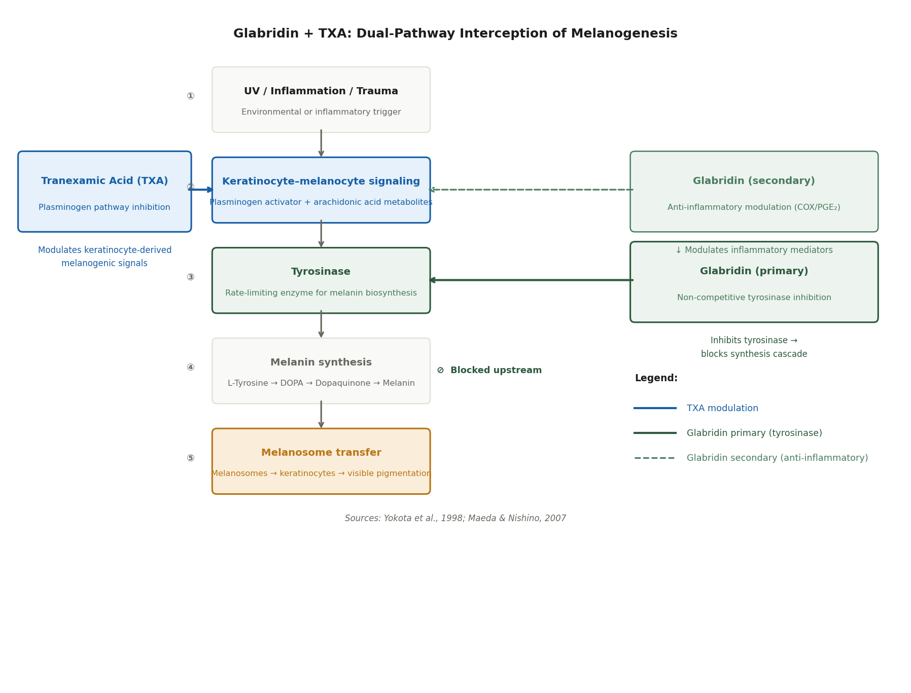 Diagram showing melanogenesis pathway with TXA modulating keratinocyte signaling at step 2 and glabridin inhibiting tyrosinase at step 3, blocking the entire synthesis cascade