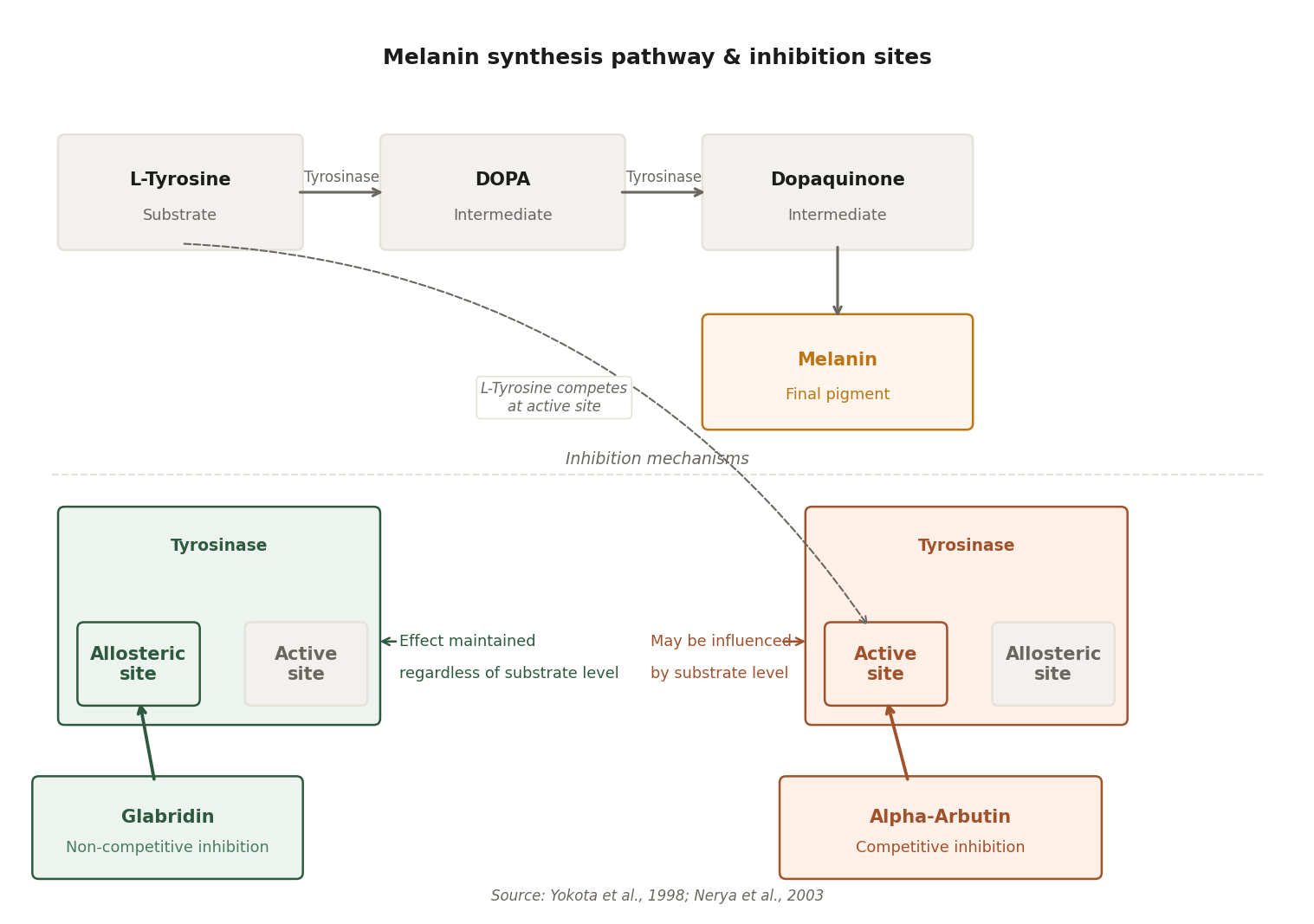 Diagram showing melanin synthesis pathway from L-tyrosine to melanin, with glabridin binding at an allosteric site (non-competitive) and alpha-arbutin competing at the active site (competitive)